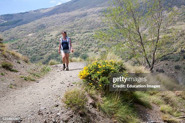 Woman walking in the River Rio Poqueira gorge valley, High Alpujarras, Sierra Nevada, Granada Province, Spain.