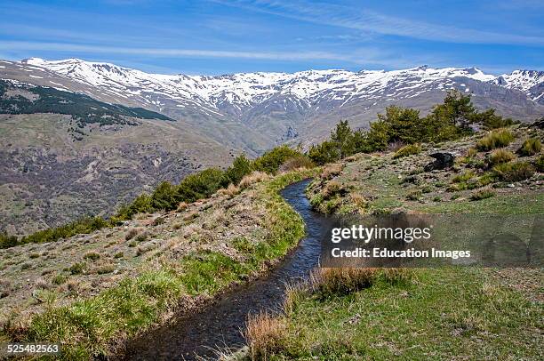 Acequia Park Photos and Premium High Res Pictures Getty Images