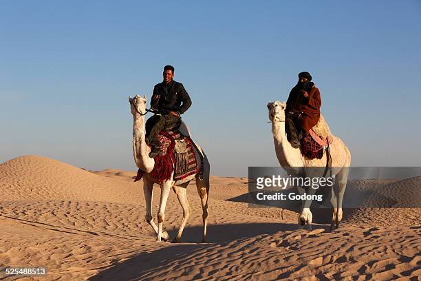 Dromedary riders in the Sahara.