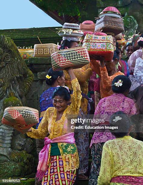 Hindu Woman Carry Offerings Balanced On Their Heads During The Anniversary Ceremony Of Pura Prajapati Near Ubud, Bentuyung Sakti, Bali.
