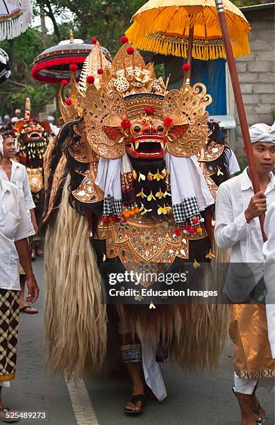 Barong Costume Used In Traditional Legong Dancing Is Carried During A Hindu Procession For A Temple Anniversary, Ubud, Bali.