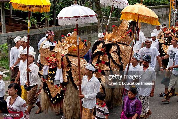 Barong Costume Used In Traditional Legong Dancing Is Carried During A Hindu Procession For A Temple Anniversary, Ubud, Bali.