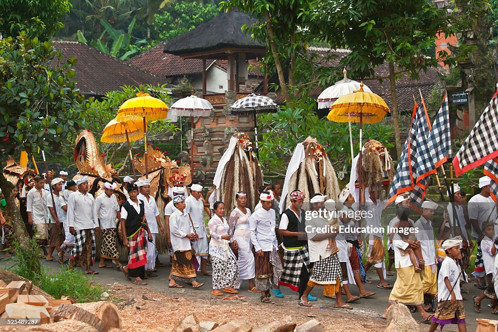A Barong Costume Used In Traditional Legong Dancing, Hindu Procession For A Temple Anniversary, Ubud, Bali