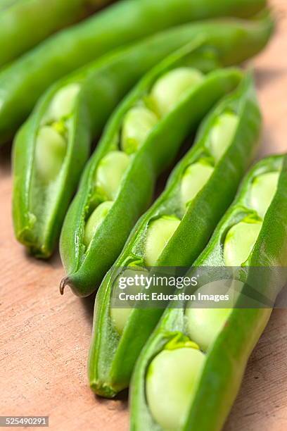 Broad Bean The Sutton.