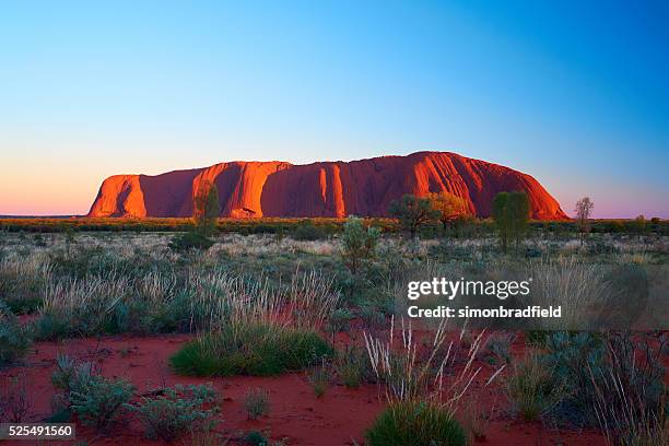 uluru at dawn - ayer's rock stockfoto's en -beelden