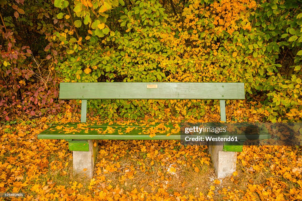 Germany, Baden-Wuerttemberg, bench covered with autumn leaves