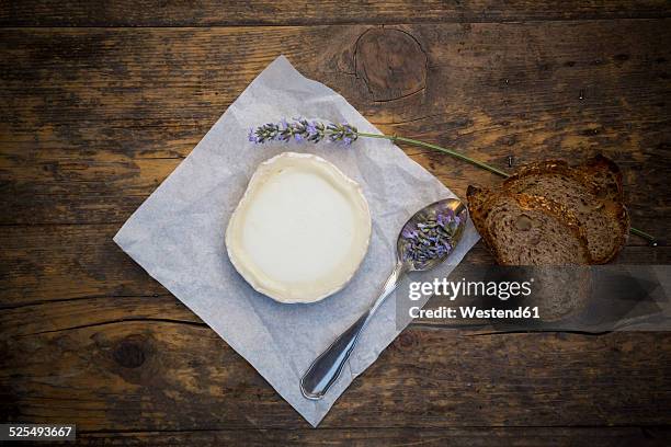 french goat cheese, potatoe walnut baguette and lavender on spoon - goat's cheese stock pictures, royalty-free photos & images