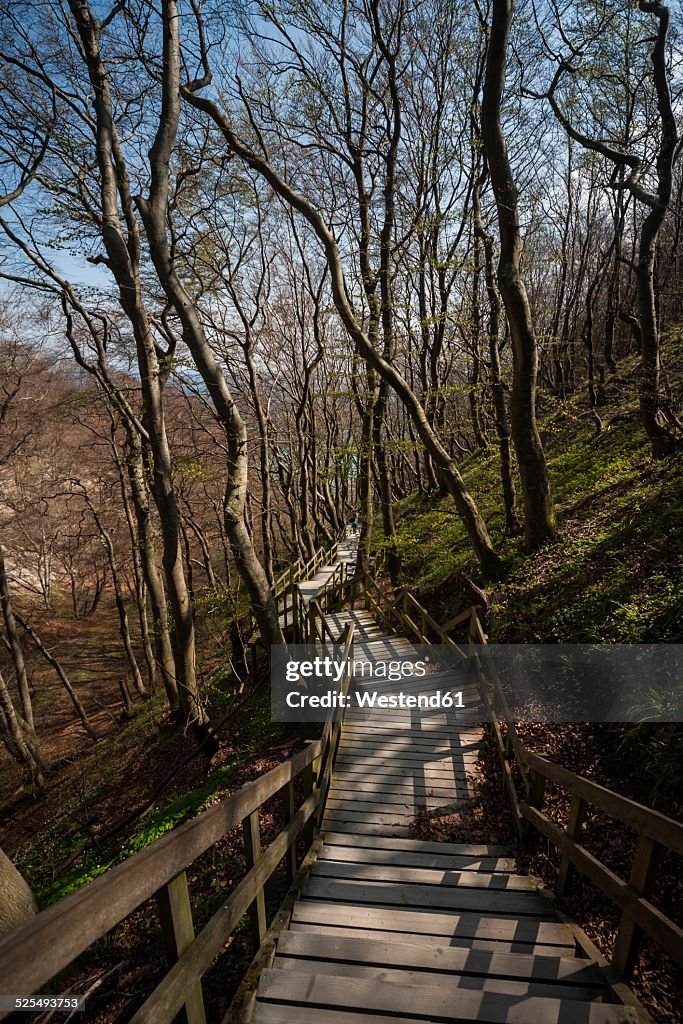 Denmark, Mon Island, Mons Klint, Wooden path to the Chalk cliffs