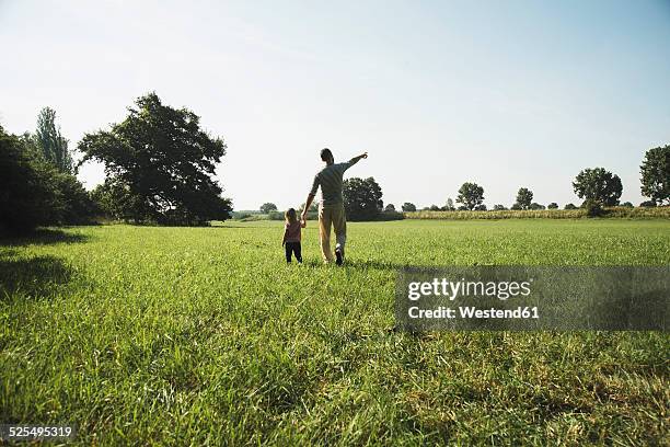 father walking with his little daughter on a meadow - hesse stock-fotos und bilder