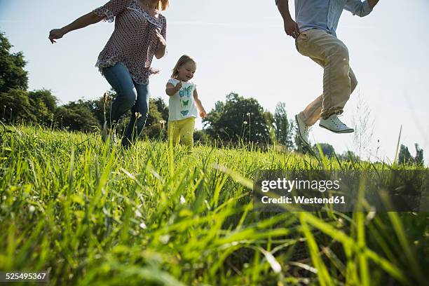 parents and little daughter having fun on a meadow - young family outside stock pictures, royalty-free photos & images