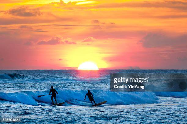 sunset surfer and paddle board on pacific waves, kauai, hawaii - kauai stockfoto's en -beelden