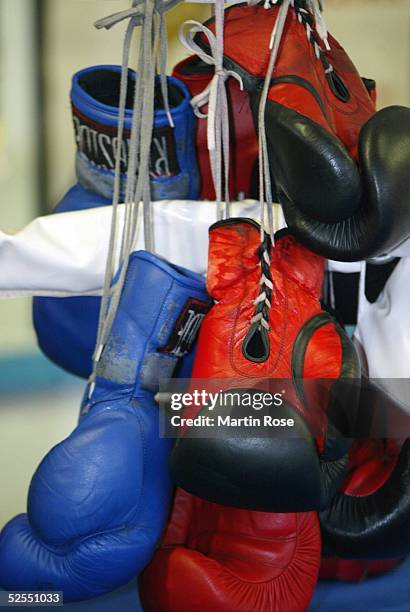 Boxen: Personenfeature 2004, Hamburg; Boxhandschuhe 13.02.04.