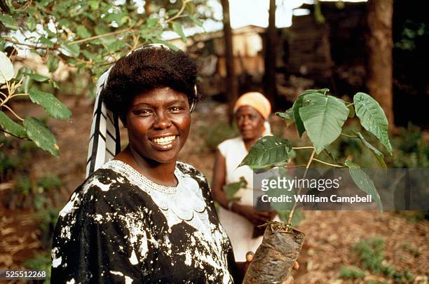 Kenyan professor Wangari Maathai, leader and creator of the Green Belt Movement , a grassroots non-governmental organization established in 1977 and...