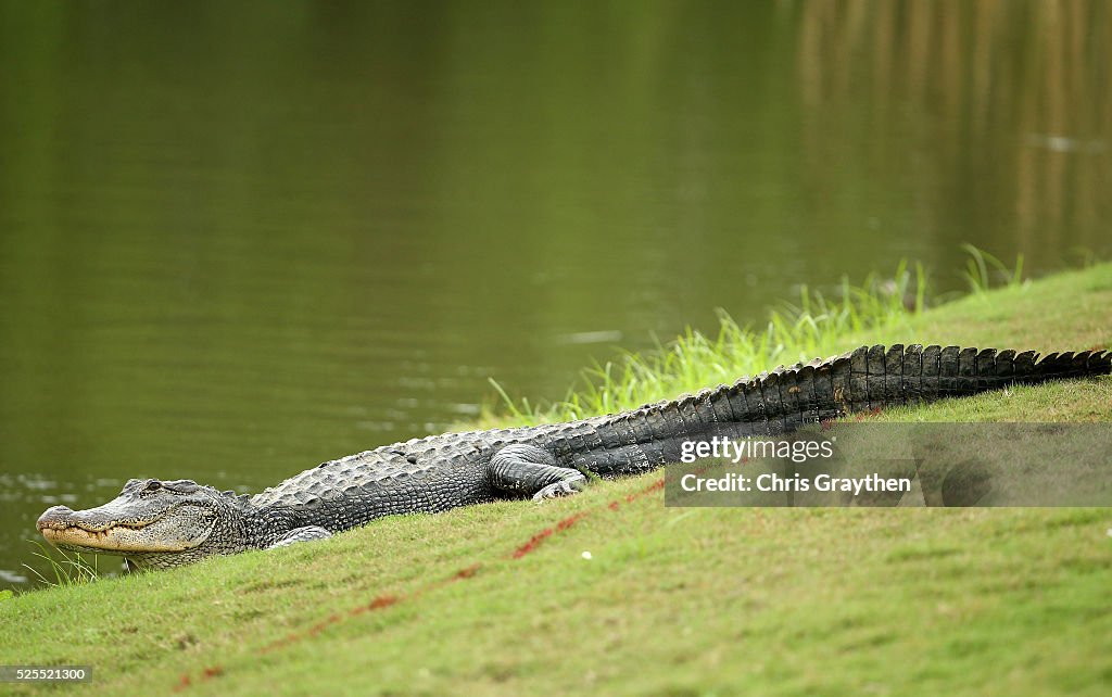 Zurich Classic Of New Orleans - Round One