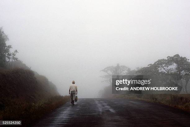 Man Walks Down a Foggy Road in Latin America