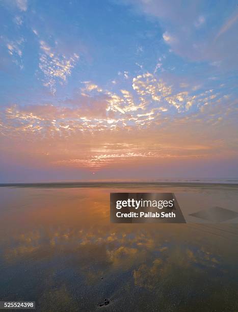 sunrise at mandarmani beach, bay of bengal - seth fisher stock pictures, royalty-free photos & images