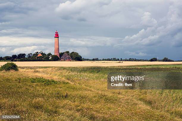 lighthouse "fl��gge", fehmarn/ germany - fehmarn stock pictures, royalty-free photos & images