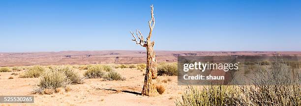 namibian landscape - zuidelijk afrika stockfoto's en -beelden