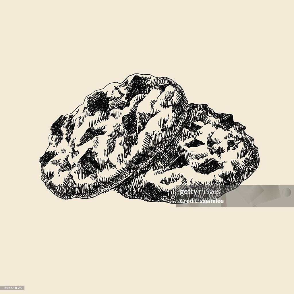Chocholate Cookie Sketch