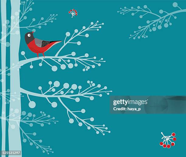 bird on branch, forest - birch tree stock illustrations
