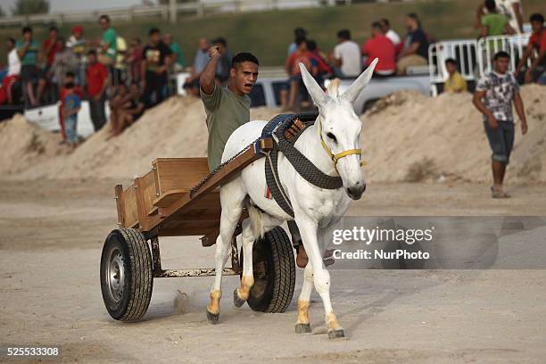 125 Saar Bahrain Stock Photos, High-Res Pictures, and Images - Getty Images