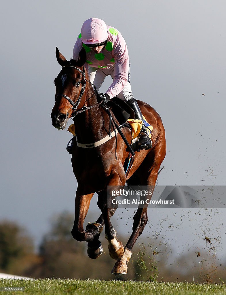 Punchestown Races