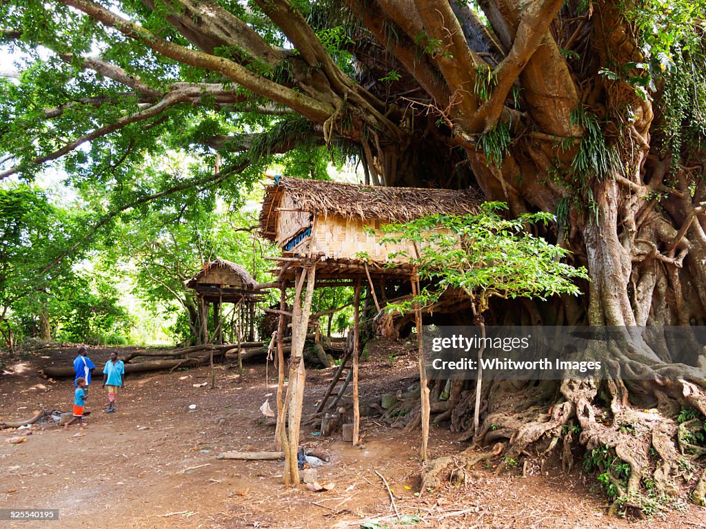 Tanna Island village nakamel with treehouses