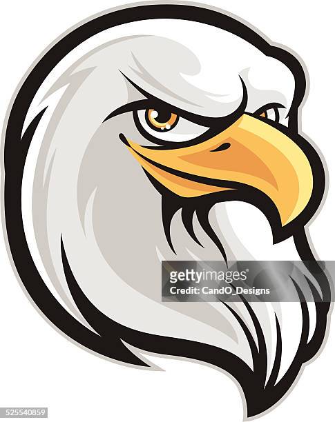 ilustraciones, imágenes clip art, dibujos animados e iconos de stock de águila de cabeza - ave de rapiña