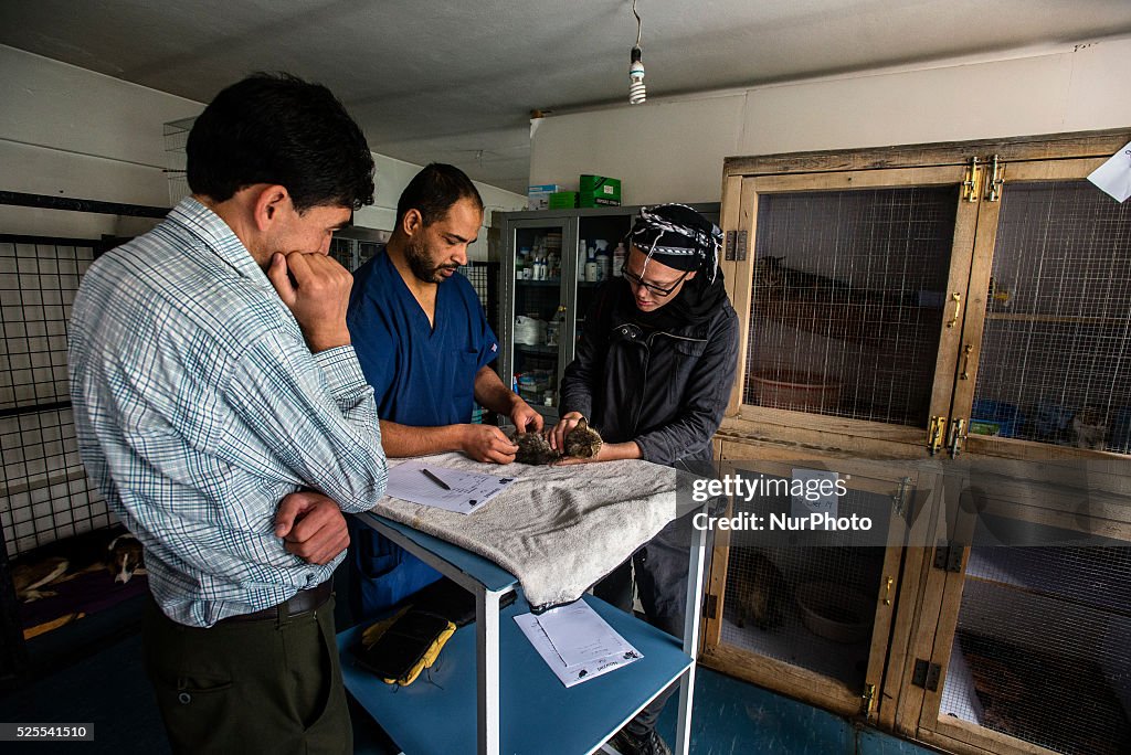 Nowzad Conrad Lewis Vet Clinic in Kabul