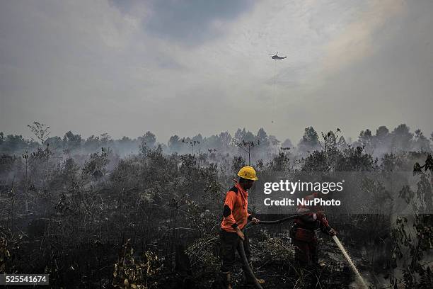 Seen a helicopter and firefighter from Manggala Agni spray water on forest burned area at Pekan Baru, Riau, Indonesia, at August 03. 2015. During...