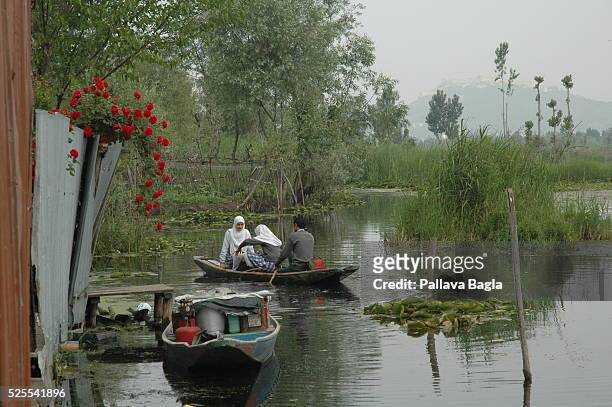 Daily life in Kashmir, people seek peace and not war. Tourists are flocking the valley since there is peace.