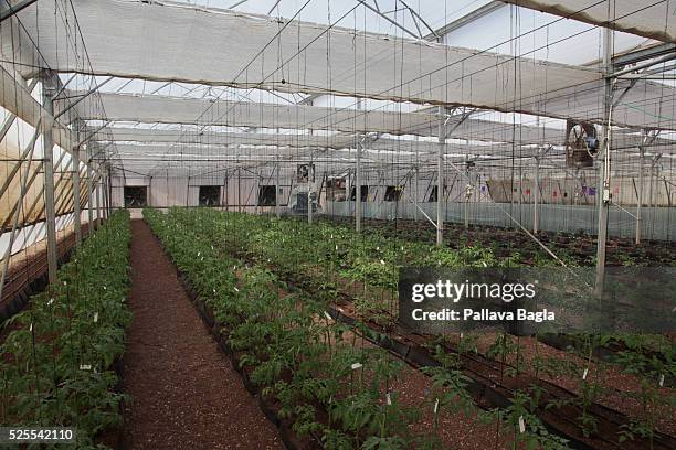 Tel Aviv, Israel A high tech green house There is a Green Revolution blooming in the deserts sands of Israel. It is nation that does not waste water,...