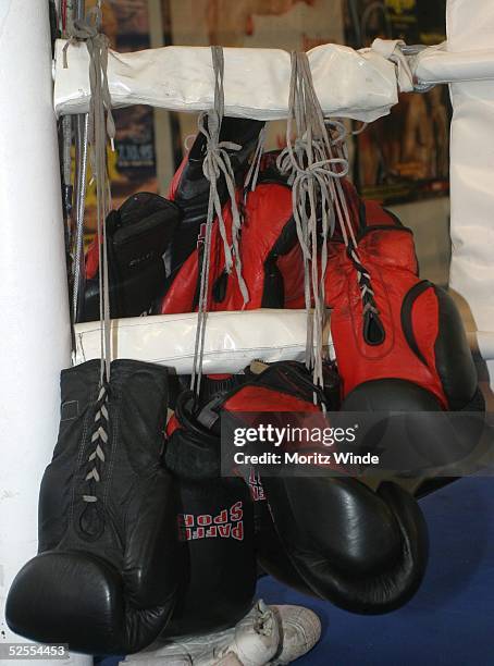 Boxen: Champions Day und Pressetraining, Hamburg; Box-Handschuhe 15.04.04.