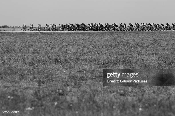 road bicycle race - peloton bildbanksfoton och bilder