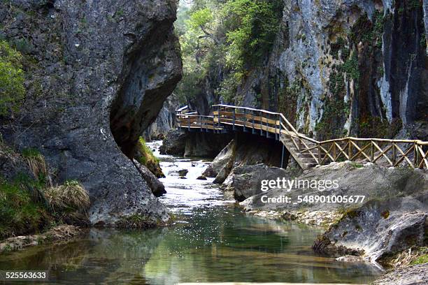 river - cazorla stock pictures, royalty-free photos & images