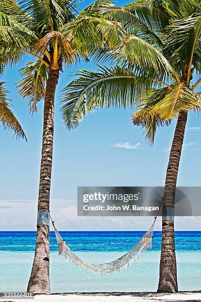 hammock and sea, bohol, philippines - philippinen strand stock-fotos und bilder