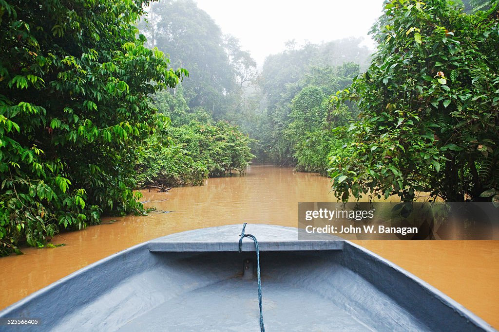 Kinabatangan River, rainforest, Sabah