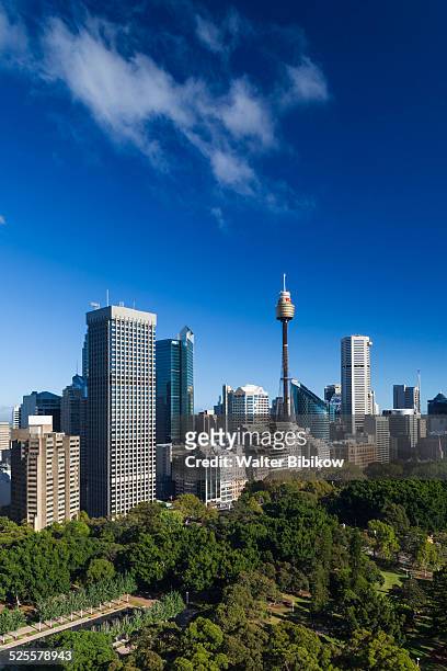 australia, new south wales, exterior - hyde park sydney stock pictures, royalty-free photos & images