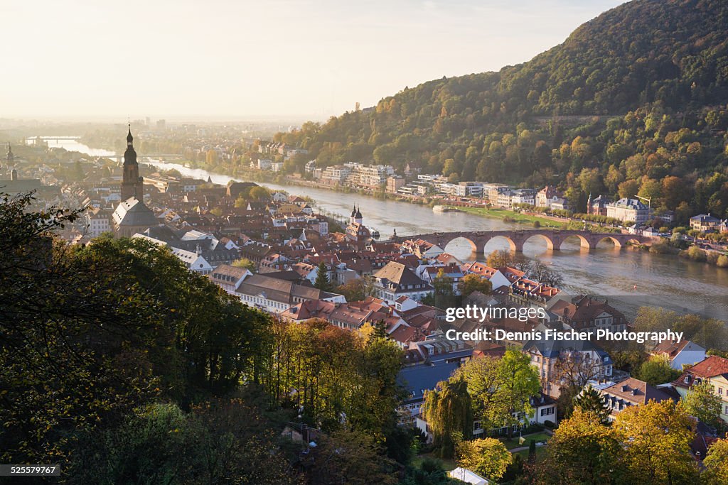 Heidelberg City view in autumn