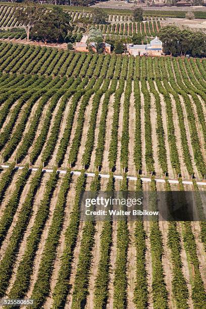 australia, clare, exterior - clare valley south australia stock pictures, royalty-free photos & images