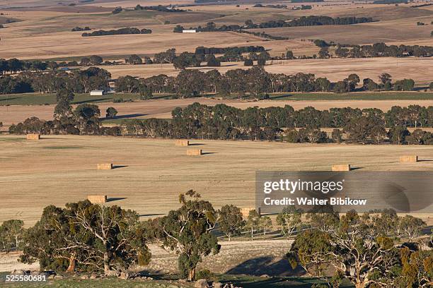 australia, clare, exterior - clare valley south australia stock pictures, royalty-free photos & images