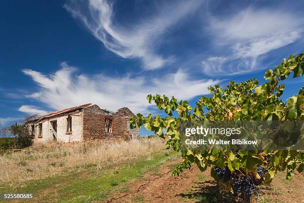 australia, cockatoo valley, exterior - barossa stock pictures, royalty-free photos & images