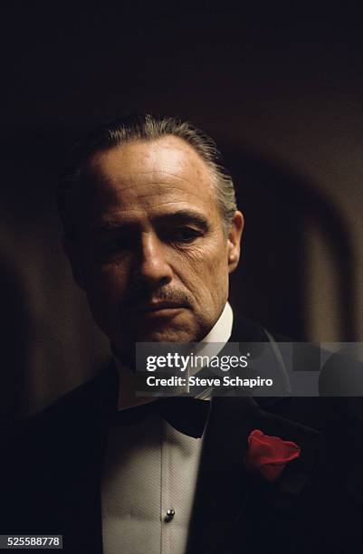 Marlon Brando in The Godfather