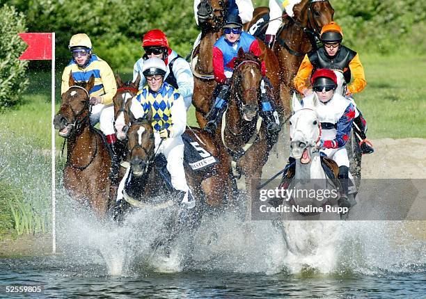 Pferdesport / Galopp: BMW Derby Meeting 2004, Hamburg; Seejagdrennen; zweiter von links: Sieger Peter GEHM auf Chello 29.06.04.