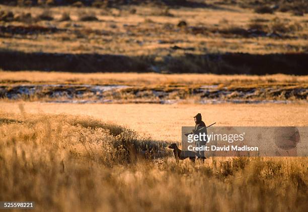 Pheasant hunter with dog in northern California near Mt. Shasta in November.