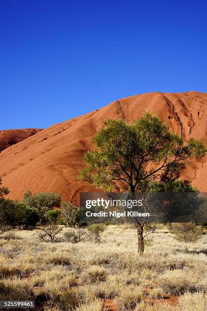 Uluru Australia's iconic rock monolith Northern Territory Australia