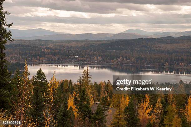 autumn colors - whitefish montana stockfoto's en -beelden