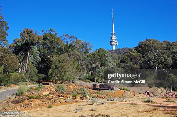 australias cities & landmarks - australian national botanic gardens stockfoto's en -beelden