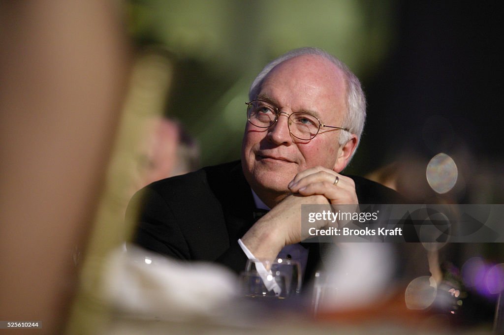 Vice President Dick Cheney