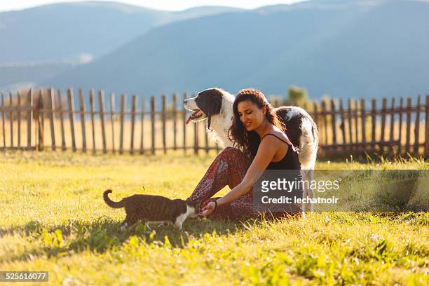 playing with cats and dogs in the beautiful outdoors - cat lady stock pictures, royalty-free photos & images